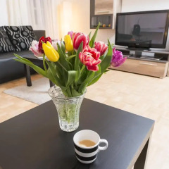 Апартаменты Welcome2vienna Premium Apartments Kumpfgasse Вена комната для гостей фото 4