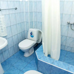 Гостиница Assol Hotel в Большом Геленджике отзывы, цены и фото номеров - забронировать гостиницу Assol Hotel онлайн Большой Геленджик ванная фото 2