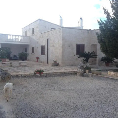 Отель B&B Villa Grassi Альберобелло фото 3