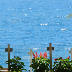 Отель Mare Bed & Breakfast Himara бассейн