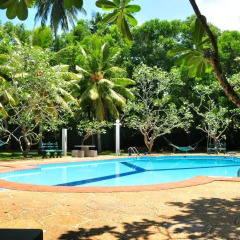 Отель Ypsylon Tourist Resort Шри-Ланка, Берувела - отзывы, цены и фото номеров - забронировать отель Ypsylon Tourist Resort онлайн бассейн фото 2
