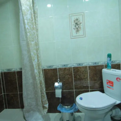Hotel Friends Стандартный номер с различными типами кроватей фото 9
