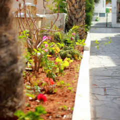 Апартаменты Maria Zintili Apartments