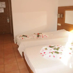 Pink Palace 3* Стандартный номер с различными типами кроватей фото 5
