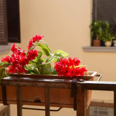 Отель B&B Matida Италия, Торре-Аннунциата - отзывы, цены и фото номеров - забронировать отель B&B Matida онлайн интерьер отеля