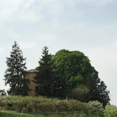 Отель Agriturismo Al Colle Del Ciliegio Италия, Региональный парк Colli Euganei - отзывы, цены и фото номеров - забронировать отель Agriturismo Al Colle Del Ciliegio онлайн фото 8