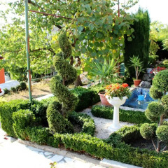 Отель Villa Summer House детские мероприятия фото 2