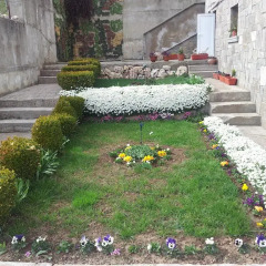 Отель Guest House Sarievi Болгария, Чепеларе - отзывы, цены и фото номеров - забронировать отель Guest House Sarievi онлайн фото 2