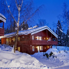 Birkebeineren Hotel & Apartments 3* Апартаменты с различными типами кроватей фото 19