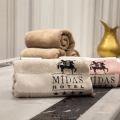 Midas Hotel Турция, Анкара - отзывы, цены и фото номеров - забронировать отель Midas Hotel онлайн интерьер отеля фото 3