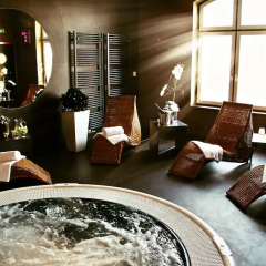 Vetruše Hotel Restaurant Усти-над-Лабем спа