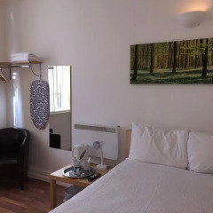 New Union Hotel удобства в номере