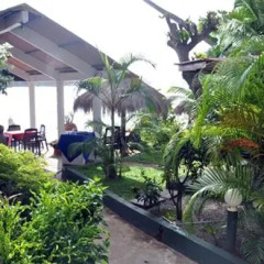 Отель Ganga Garden Шри-Ланка, Бентота - отзывы, цены и фото номеров - забронировать отель Ganga Garden онлайн фото 7