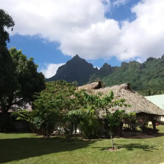 Отель Linareva Moorea Beach Resort Французская Полинезия, Муреа - отзывы, цены и фото номеров - забронировать отель Linareva Moorea Beach Resort онлайн фото 3