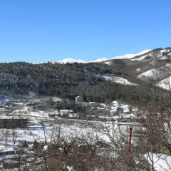 Отель Dilijan Family House Армения, Дилижан - отзывы, цены и фото номеров - забронировать отель Dilijan Family House онлайн