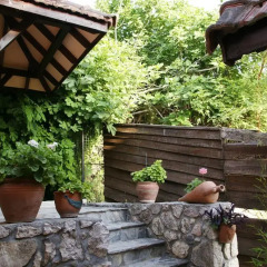 Mountain Lodge 3* Номер категории Эконом с различными типами кроватей