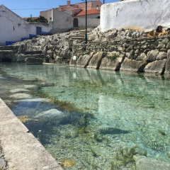 Отель Óbidos Village Guest House Обидуш бассейн