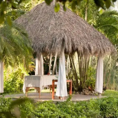 Отель Melia Puerto Vallarta - Все включено фото 5