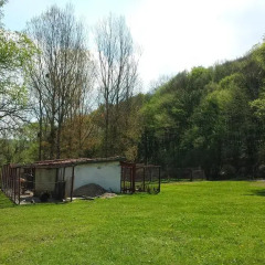 Отель Kolyovite Izvori Hotel Болгария, Генерал-Кантраджиево - отзывы, цены и фото номеров - забронировать отель Kolyovite Izvori Hotel онлайн фото 4