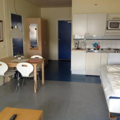 City Apartment Hotel 2* Студия с различными типами кроватей