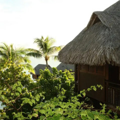 Отель Sofitel Bora Bora Private Island фото 6