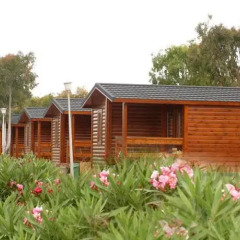 Отель Devesa Gardens Camping & Resort фото 9