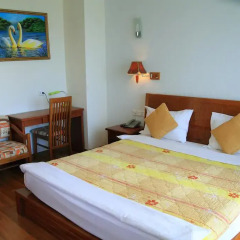 Golden Sea Hotel Nha Trang 4* Люкс фото 2