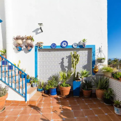 Отель Hostal Guadalupe