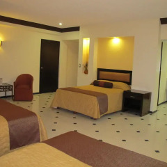 Hotel El Conquistador del Paseo de Montejo 3* Стандартный номер с различными типами кроватей фото 8