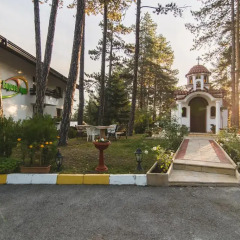 SPA Hotel Borova Gora фото 7