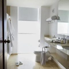 Hotel Ejecutivo Express 3* Представительский номер с различными типами кроватей фото 4