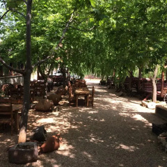 Kas Dogapark Турция, Патара - отзывы, цены и фото номеров - забронировать отель Kas Dogapark онлайн фото 7