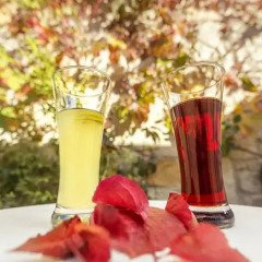 Moy Hotel 3* Стандартный номер фото 6