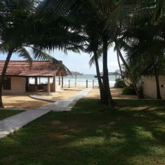 Отель Thiranagama Beach Hotel Шри-Ланка, Хиккадува - отзывы, цены и фото номеров - забронировать отель Thiranagama Beach Hotel онлайн пляж