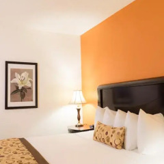 Red Lion Hotel Oakland International Airport 3* Стандартный номер с различными типами кроватей фото 5