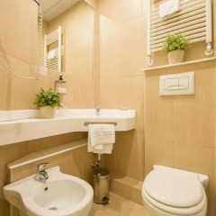 Hotel Torino 3* Стандартный номер фото 4