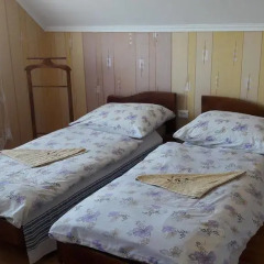 Гостиница Natalia Vendeghaz Стандартный номер разные типы кроватей фото 6