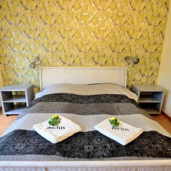 Отель Vic Apartament Prowansja комната для гостей фото 4