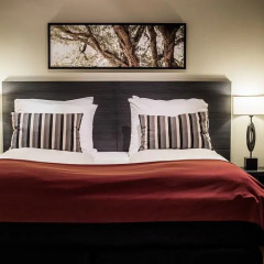 First Hotel Millennium 3* Полулюкс с различными типами кроватей