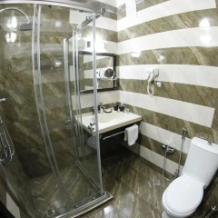 Отель Masalli Hotel & Restaurant Азербайджан, Масаллы - отзывы, цены и фото номеров - забронировать отель Masalli Hotel & Restaurant онлайн ванная