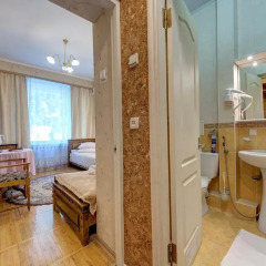 Гостиница Александрия 3* Номер Комфорт с разными типами кроватей фото 44