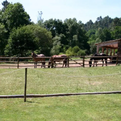 Отель Quinta Da Rabaçosa - Turismo Rural Кастро-Дайре спортивное сооружение