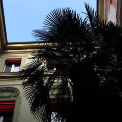 Отель B&B Corte Marsala Италия, Болонья - отзывы, цены и фото номеров - забронировать отель B&B Corte Marsala онлайн балкон
