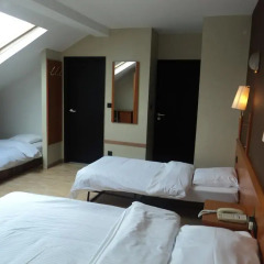 Albert Hotel 2* Стандартный семейный номер с двуспальной кроватью фото 9