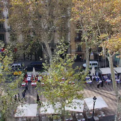 Отель Rent4Days Ramblas Apartments Испания, Барселона - отзывы, цены и фото номеров - забронировать отель Rent4Days Ramblas Apartments онлайн фото 4