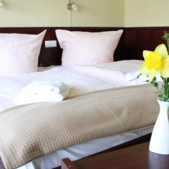 Hotel Dresden Domizil 3* Стандартный номер с двуспальной кроватью фото 4
