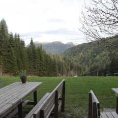 Отель Borgo degli Elfi Италия, Саурис - отзывы, цены и фото номеров - забронировать отель Borgo degli Elfi онлайн фото 3