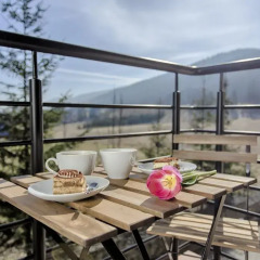 Отель Apartament Krzeptówki Польша, Закопане - отзывы, цены и фото номеров - забронировать отель Apartament Krzeptówki онлайн балкон