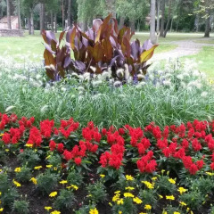 Отель on Cerinu Street Латвия, Юрмала - отзывы, цены и фото номеров - забронировать отель on Cerinu Street онлайн фото 2