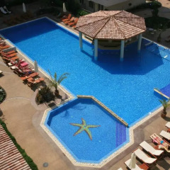 Отель Aparthotel Dawn Park Болгария, Солнечный берег - отзывы, цены и фото номеров - забронировать отель Aparthotel Dawn Park онлайн бассейн